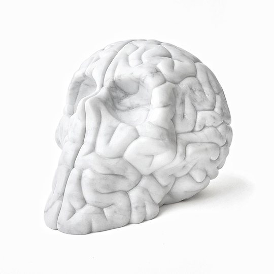 It´s Swab Barcelona: Emilio Garcia “Skull Brain” Carrara marble sculpture 14x19x13 cm. Black Square Gallery,  Miami