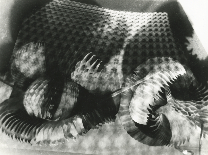 Paris Photo 2013: Raoul Hausmann, Phantasmagorie (superposition), 1950, tirage argentique d'époque, Galerie Thessa Herold , Exhibitor : THESSA HEROLD.