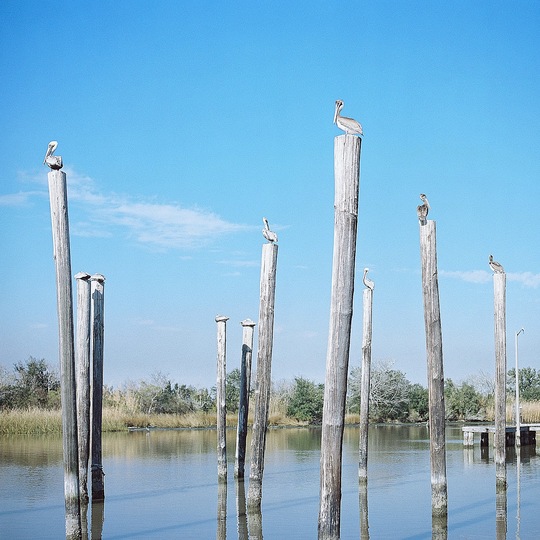 Christophe Urbain: New Orleans: 