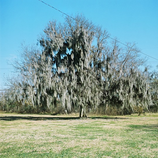 Christophe Urbain: New Orleans: 