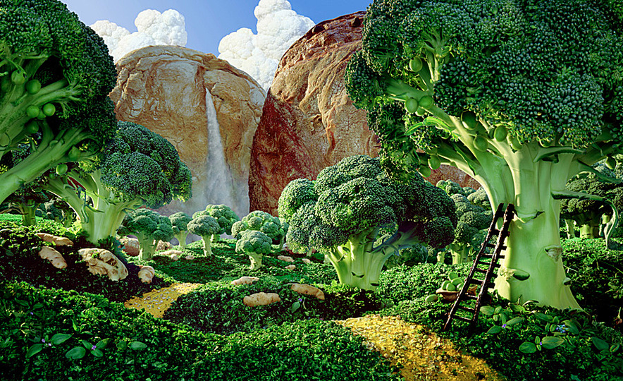 Foodscapes: 