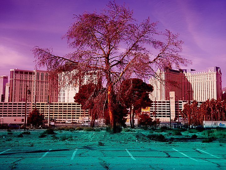 Las Vegas by Maciek Jasik: 