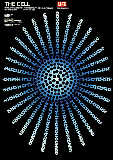 Kazumasa Nagai: 