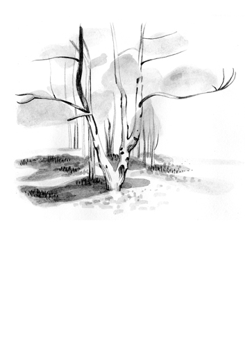 Antwerp is sketching: Mayken Craenen