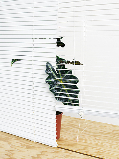 Critical Objects: 