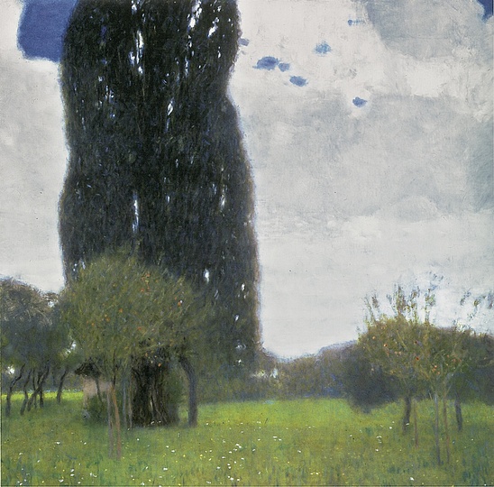 Gustav Klimt: Landscapes: The Great Poplar I, 1900,  80 x 80 cm, oil on canvas © Leopold Museum, Vienna