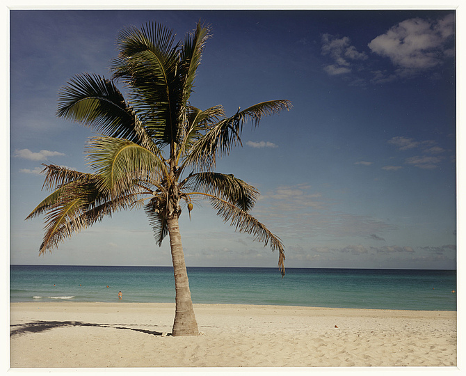 The Production Line of Happiness: Christopher Williams (American, born 1956). Punta Hicacos, Varadero, Cuba / February 14, 2000. 2000. Chromogenic color print. Paper: 11 x 14″ (27.9 x 35.6 cm); framed: 26 x 30″ (66 x 76.2 cm). The Art Institute of Chicago, gift of Nancy Lauter McDougal and Alfred L. McDougal, 2008.706 © Christopher Williams