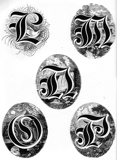 Amazing alphabets