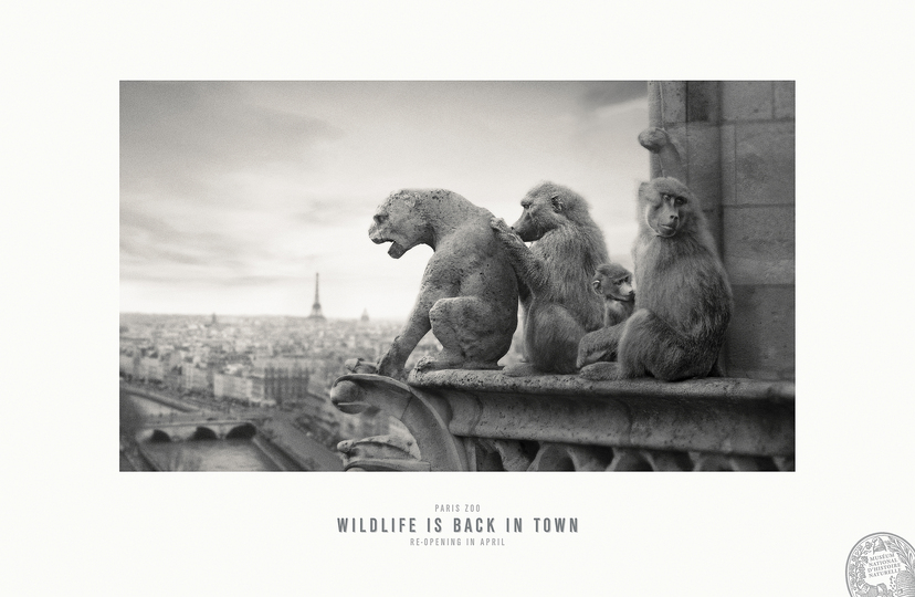 Cannes Outdoor Lions 2014: Notre Dame de Paris, 2013
Publicis Conseil Paris, Frankreich
Werbung für Museum National d'Histoire Naturelle, Parc Zoologique de Paris ausgezeichnet als Silver Lion Campaign, 2014
© Cannes Lions