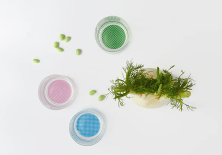 Catarina Carreias: Objects: 
