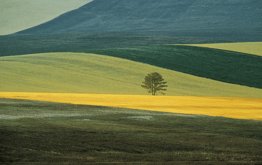 L’ITALIA CI GUARDIA: Franco Fontana, Basilicata Landscape, Italy 1978, Collezione MAXXI
