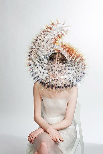 Maiko Takeda &  이재형: 