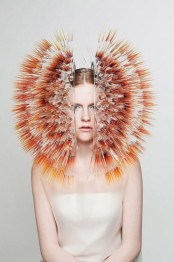 Maiko Takeda &  이재형: 