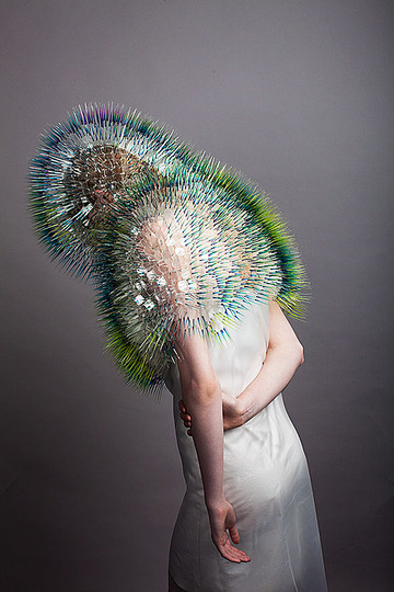 Maiko Takeda &  이재형: 