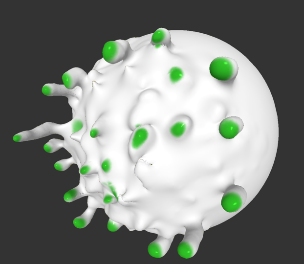 Bacterium: 