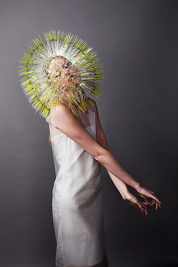 Maiko Takeda &  이재형: 