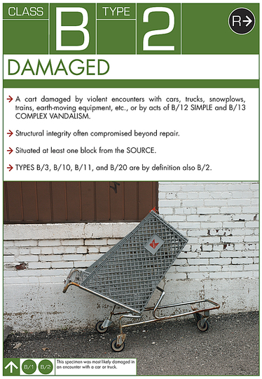 Stray Shopping Carts: 