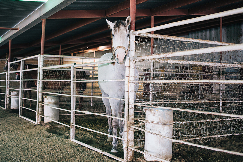 Emily Blincoe: Texas: 