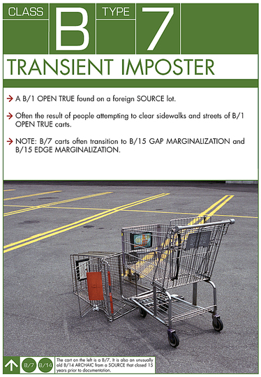 Stray Shopping Carts: 