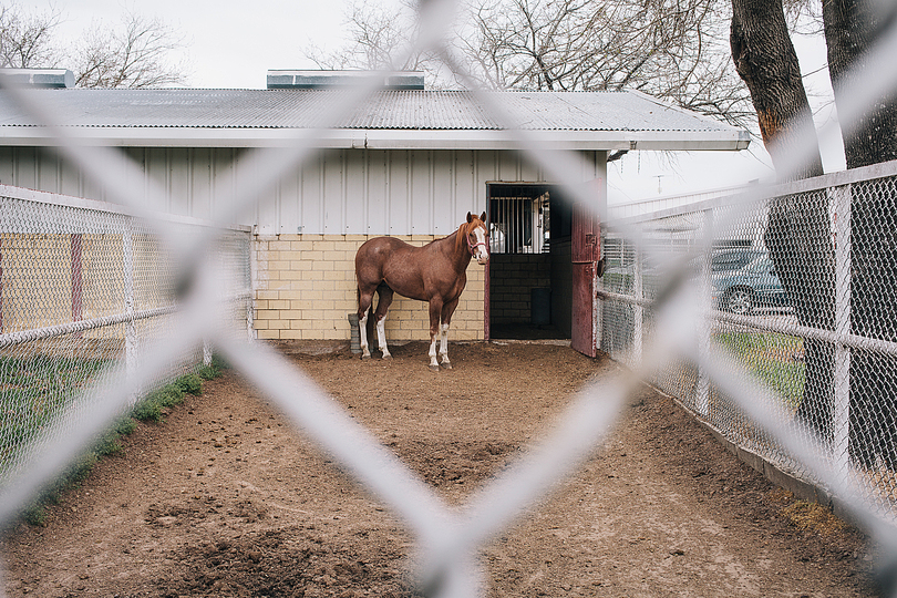 Emily Blincoe: Texas: 