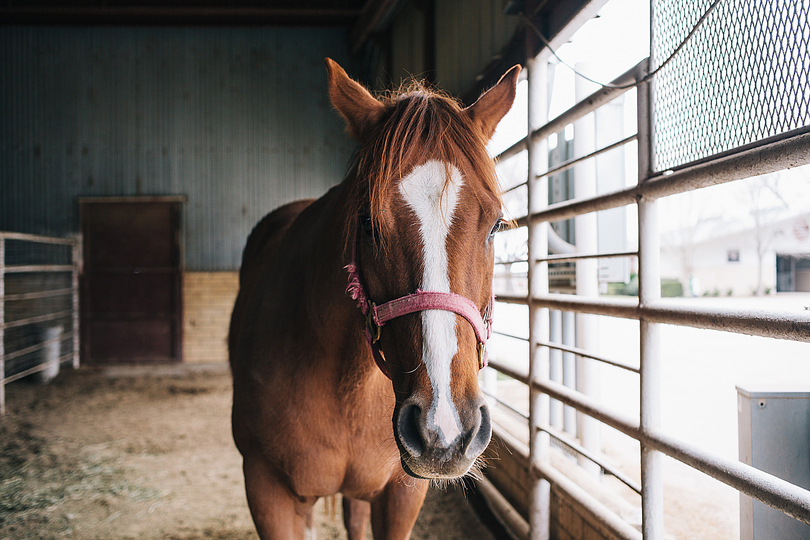 Emily Blincoe: Texas: 