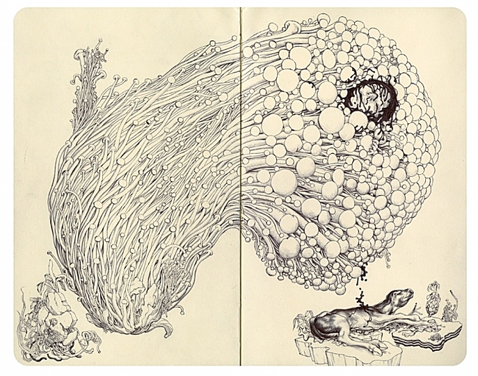 James Jean: Sketches