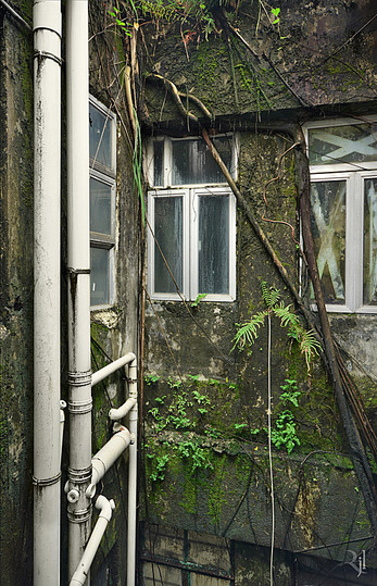 Hong Kong: 