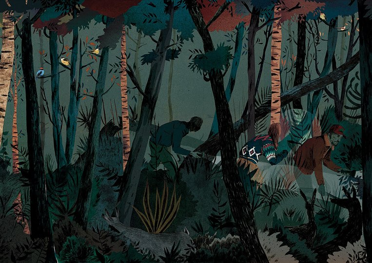 Stargazers: 