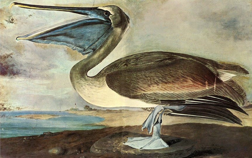 John James Audubon: 