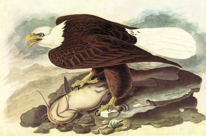 John James Audubon: 