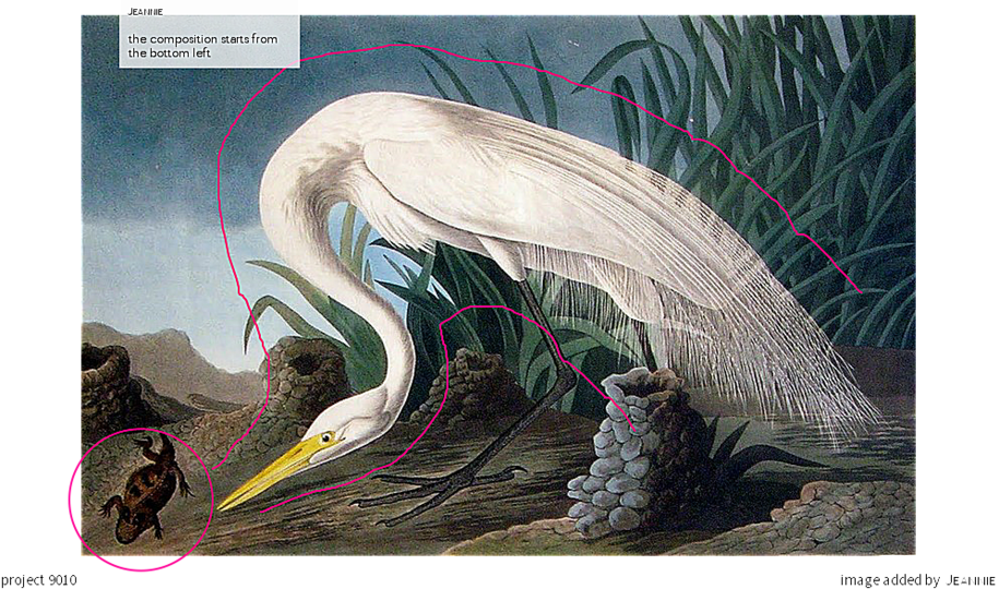 John James Audubon: 