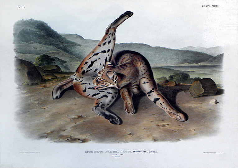 John James Audubon: 