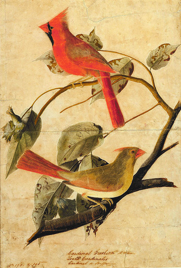 John James Audubon: 