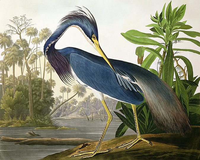 John James Audubon: 