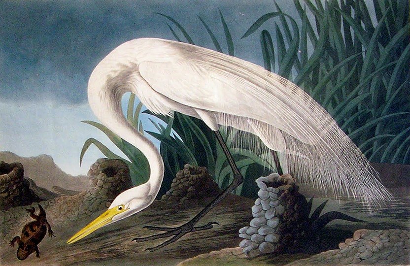 John James Audubon: 