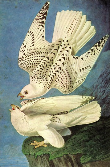 John James Audubon: 