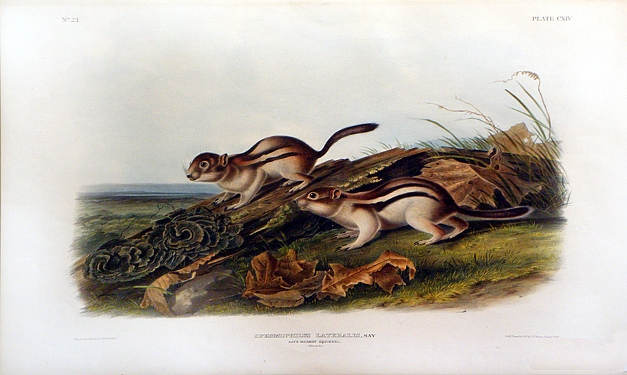 John James Audubon: 