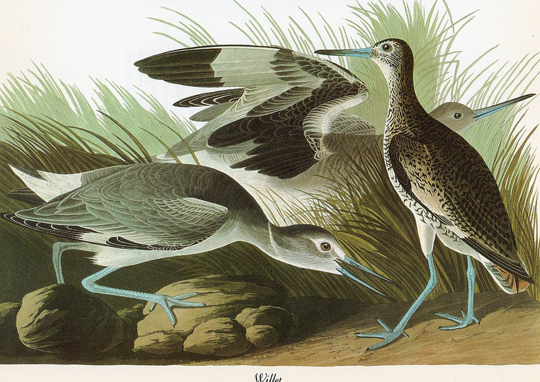 John James Audubon: 