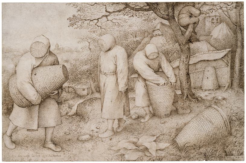 Pieter Bruegel: Pieter Bruegel the Elder (c. 1525/30 Breugel or Antwerp? – 1569 Brussels)
The Beekeepers
c. 1568
Pen and brown ink, 203 × 309 mm
© Foto: Kupferstichkabinett der Staatlichen Museen zu Berlin - Preußischer
Kulturbesitz Fotograf/in: Jörg P. Anders
