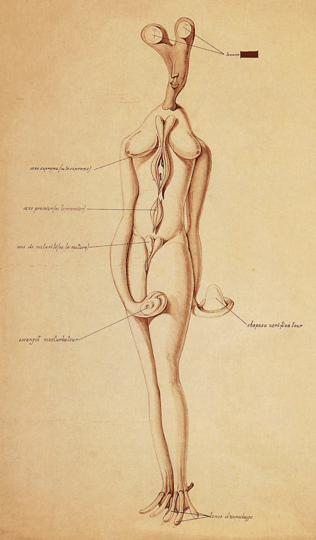 Victor Brauner: Peindre, c´est la vie: 