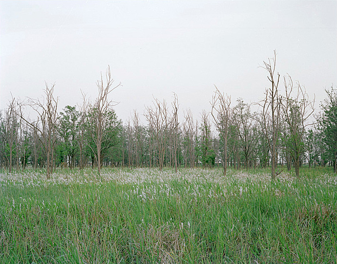 The Yellow River: 