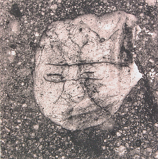 Irving Penn