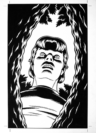 Black Hole by Charles Burns: 