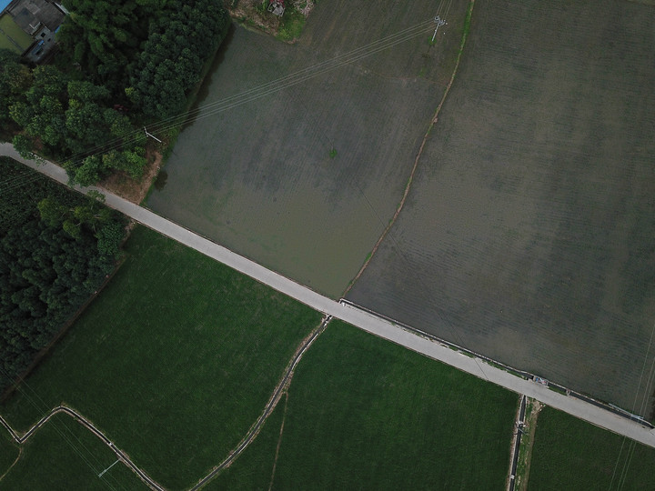NONGZAO·THE NEST -- Fieldwork On Qingshen Bamboo Weaving Of Sichuan Province, China: Farmlands and bamboo forests cover half of the town