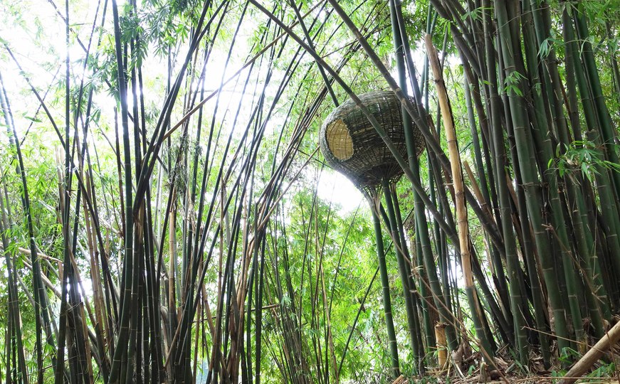 NONGZAO·THE NEST -- Fieldwork On Qingshen Bamboo Weaving Of Sichuan Province, China: The Nest
