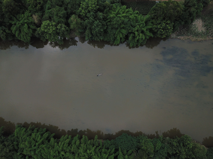 NONGZAO·THE NEST -- Fieldwork On Qingshen Bamboo Weaving Of Sichuan Province, China: Dense bamboo forests alongside the Simeng River