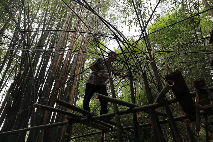 NONGZAO·THE NEST -- Fieldwork On Qingshen Bamboo Weaving Of Sichuan Province, China: Root preservation and fixing spots slowed down the process