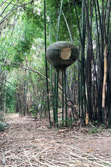 NONGZAO·THE NEST -- Fieldwork On Qingshen Bamboo Weaving Of Sichuan Province, China: The Nest