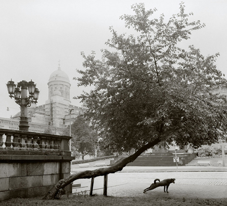 200 Images: Europe: Pentti Sammallahti