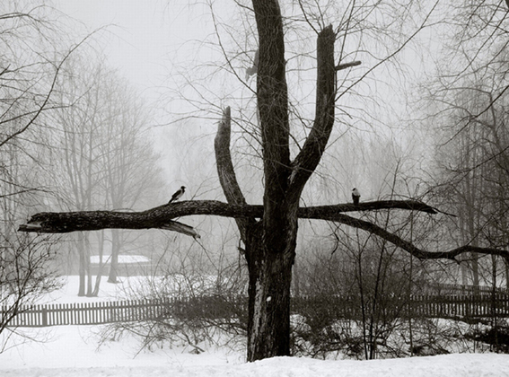 200 Images: Europe: Pentti Sammallahti